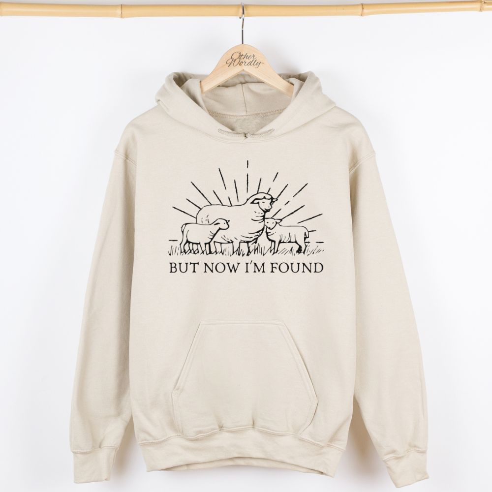 Luke 15 Verse Hoodie | But Now I'm Found